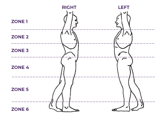 Left and Right Side Body Illustration